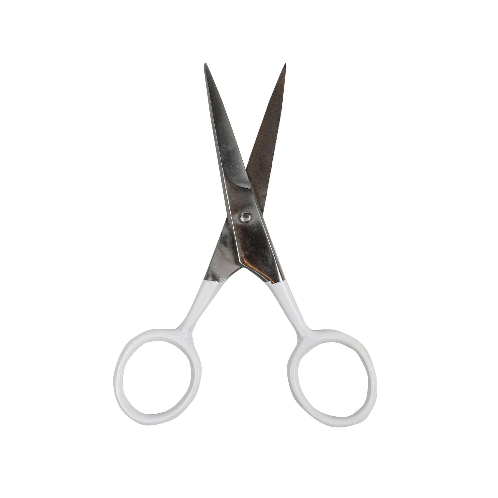 Vancity Beauty Pro Precision Scissors
